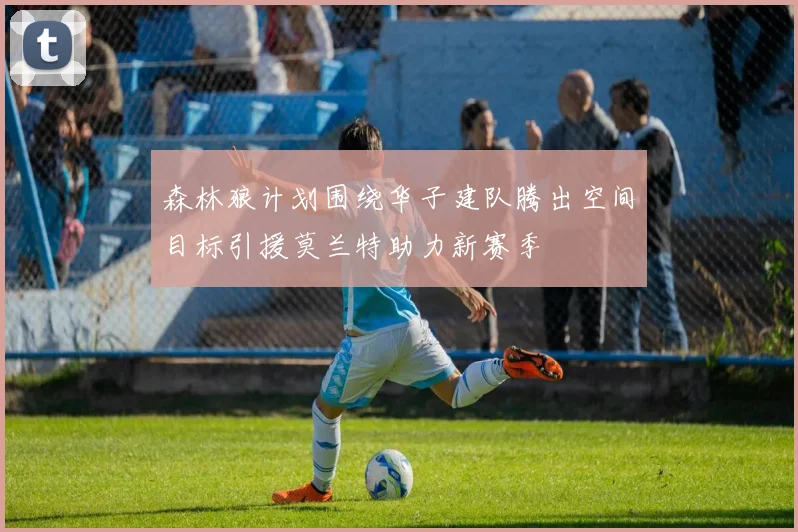 森林狼计划围绕华子建队腾出空间目标引援莫兰特助力新赛季