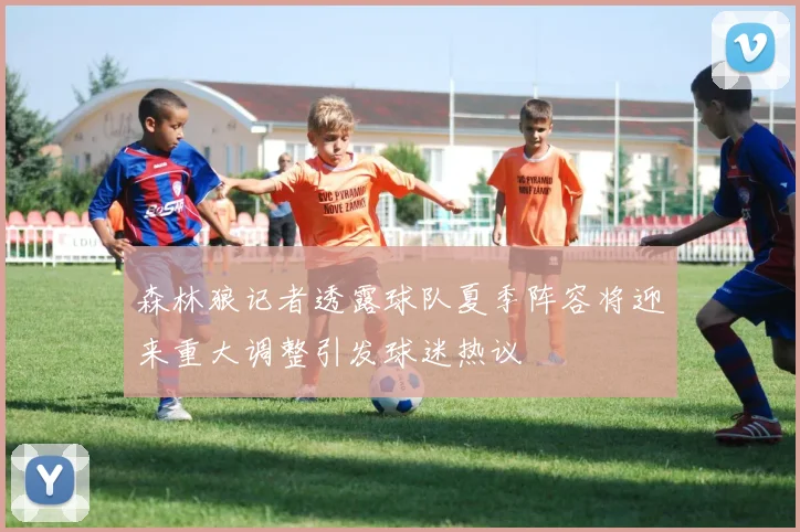 森林狼记者透露球队夏季阵容将迎来重大调整引发球迷热议